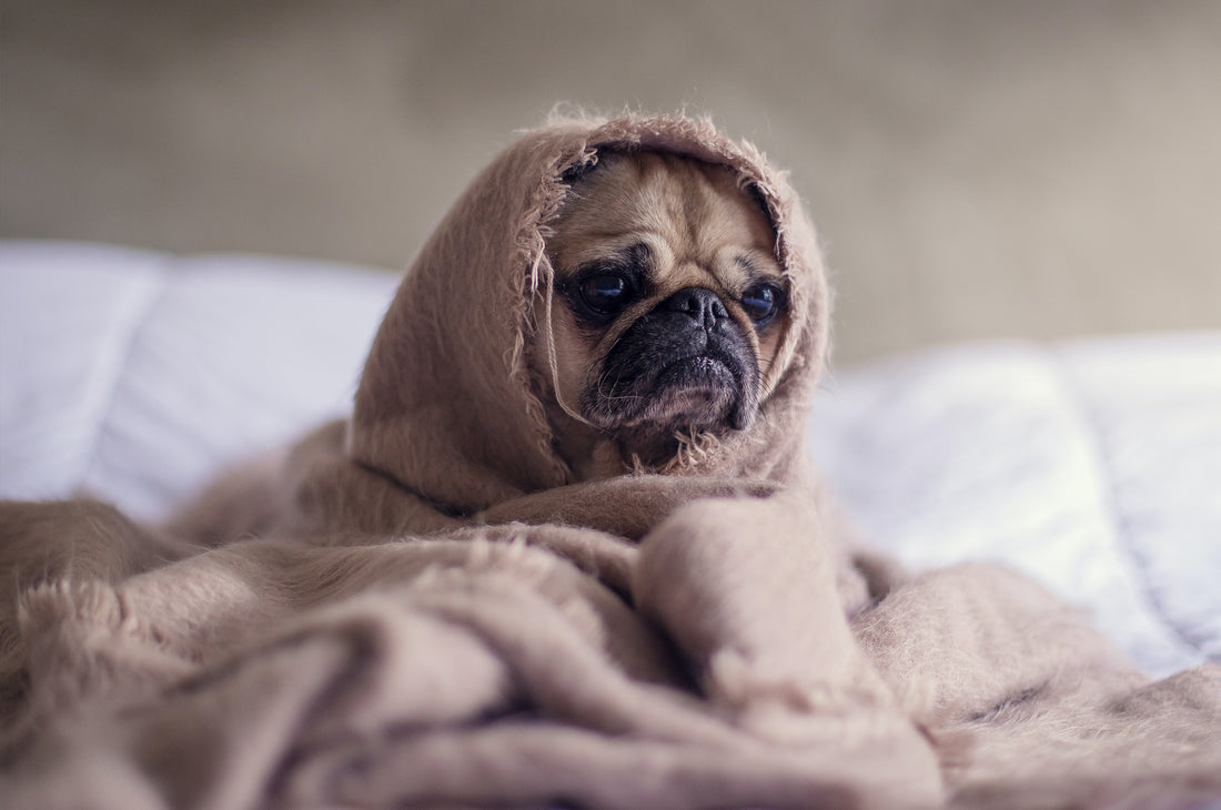Best Sleeping Positions To Relieve Period Cramps
